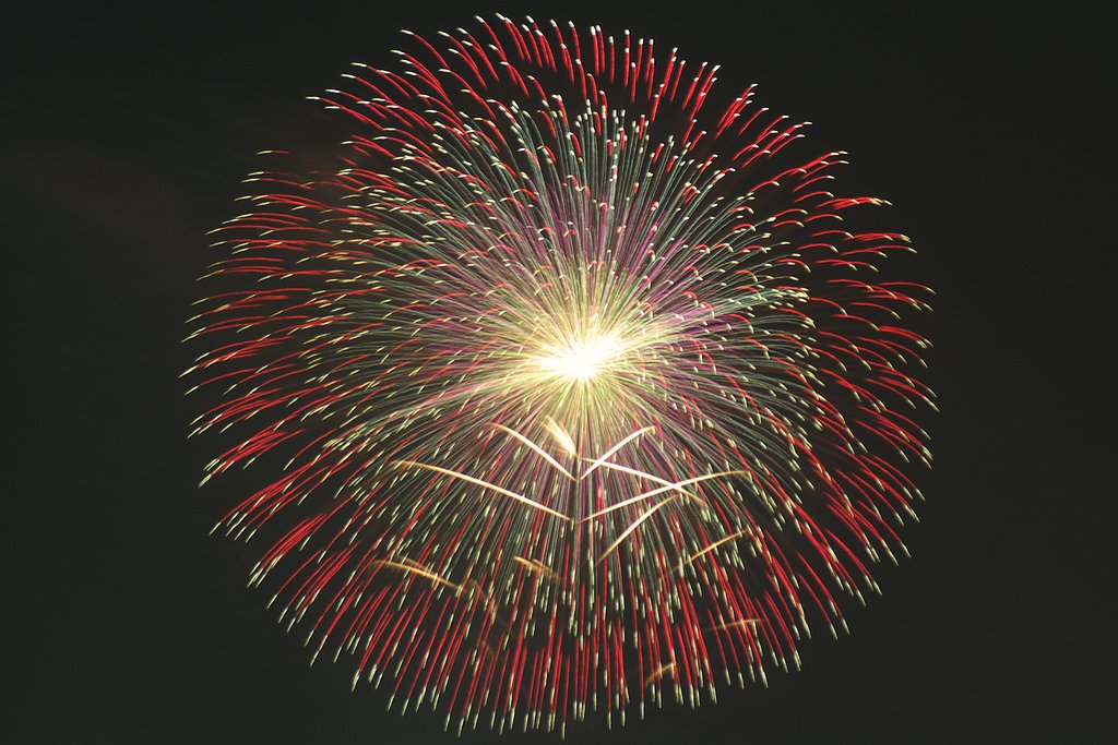 季節外れの夜空華
