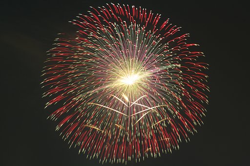 季節外れの夜空華