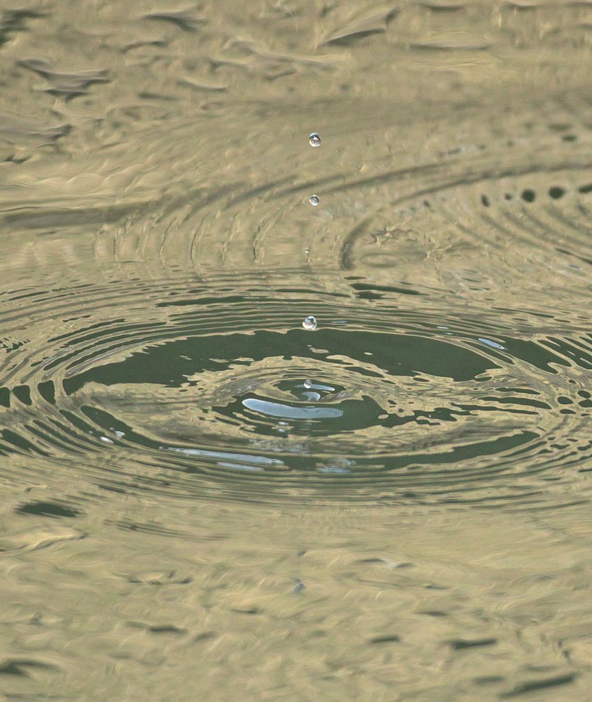 「わびさび」　水紋