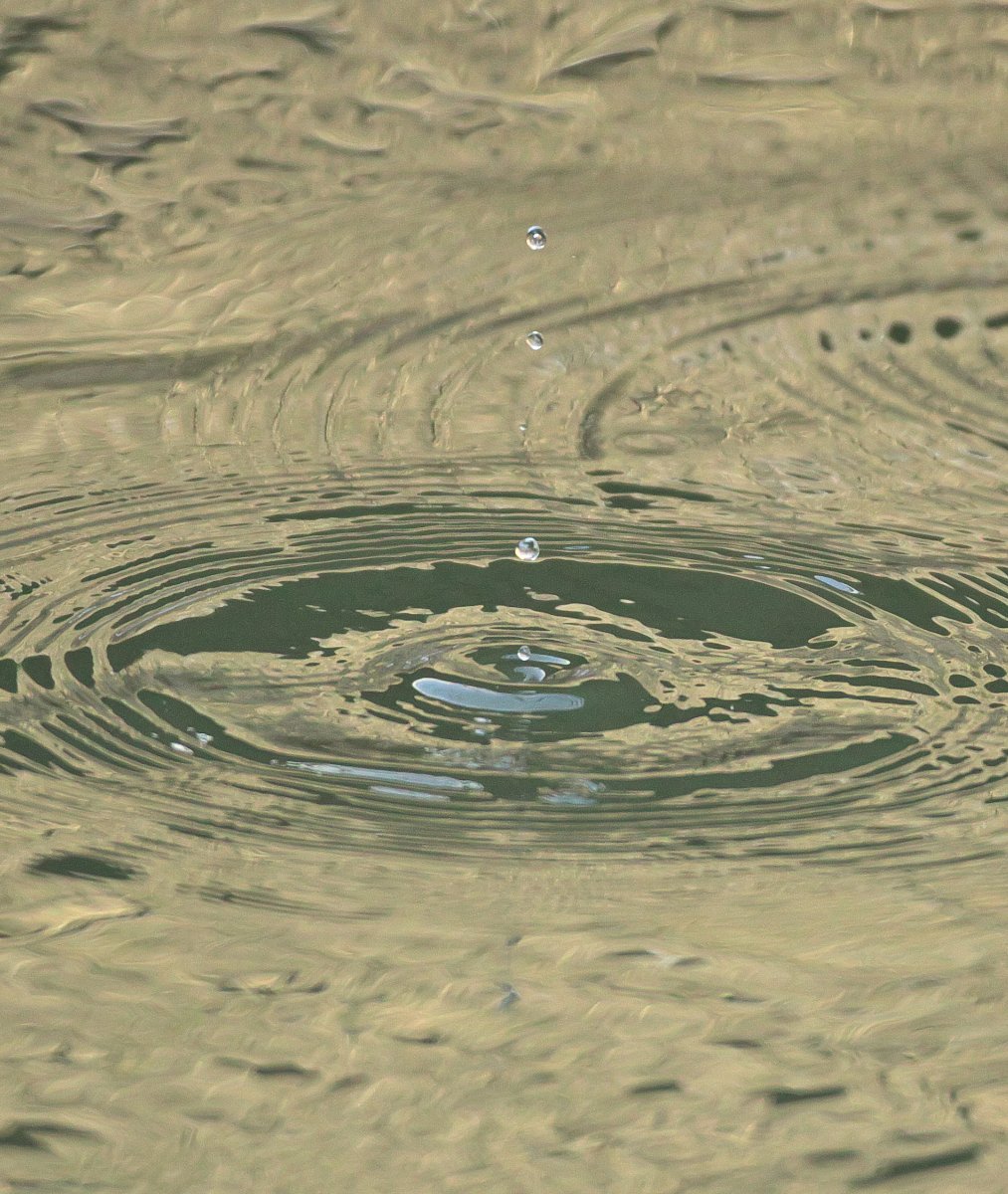 「わびさび」　水紋