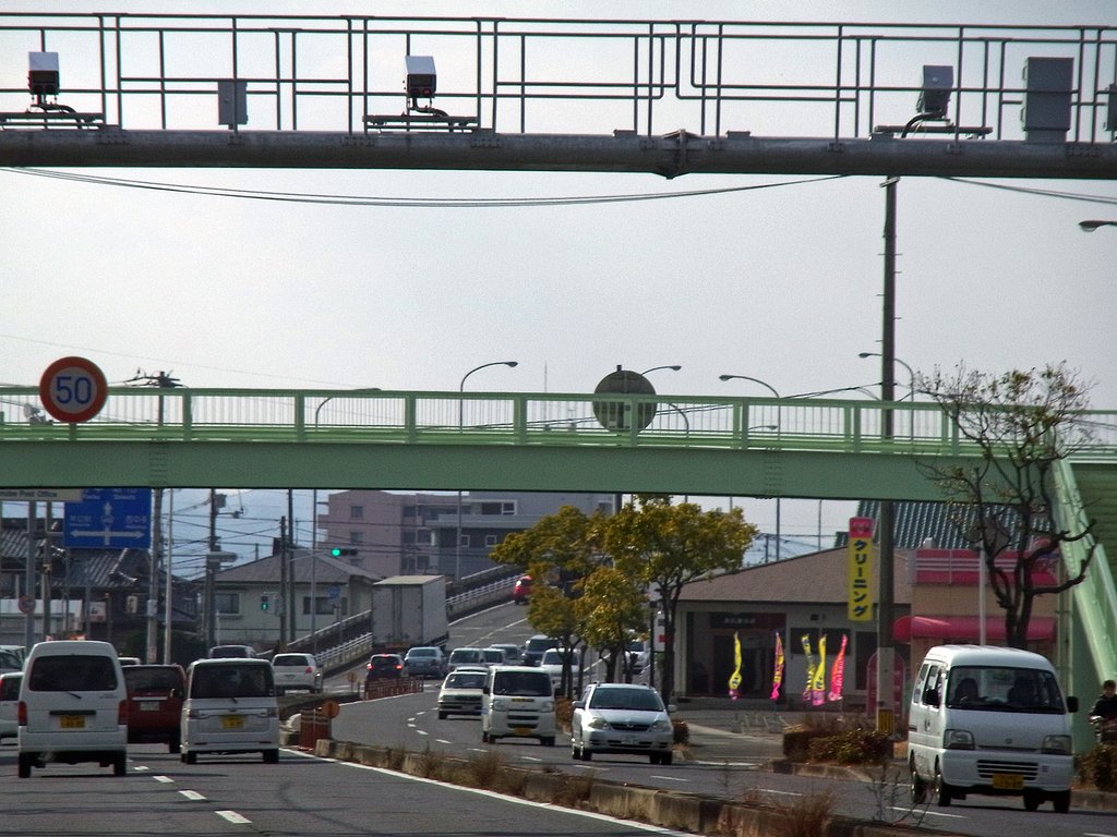 頭上カメラ