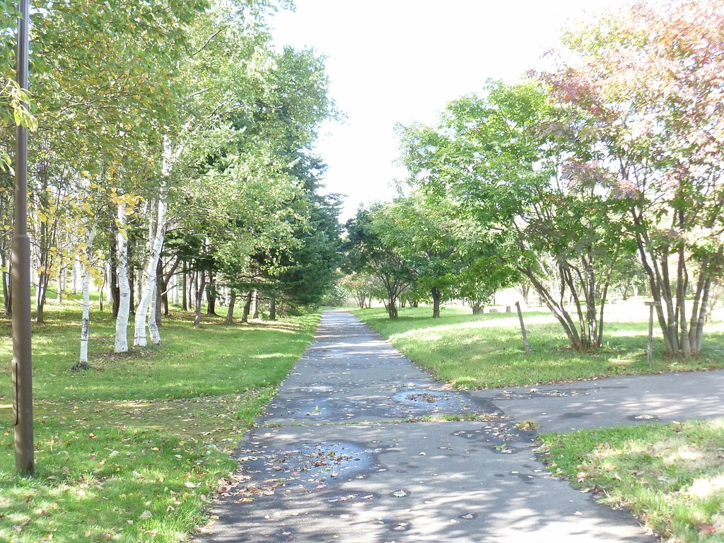 公園10