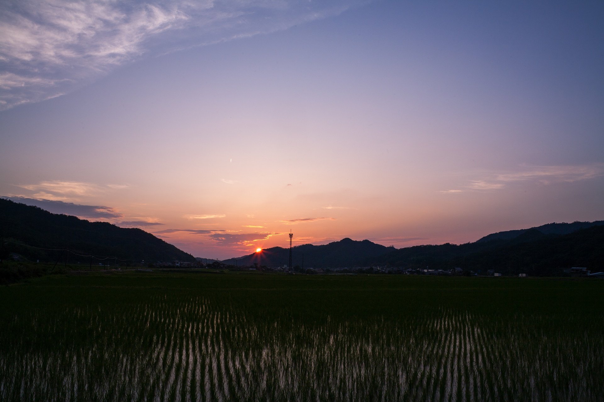 夕焼け小焼けで日が暮れて・・。