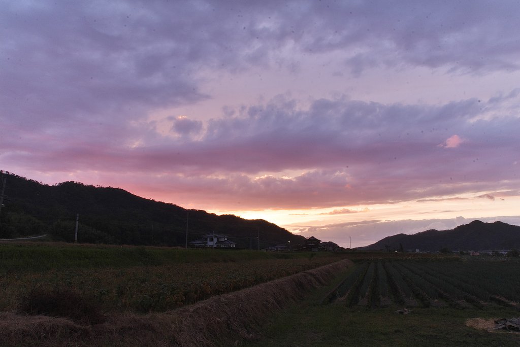 夕焼小焼けで・・
