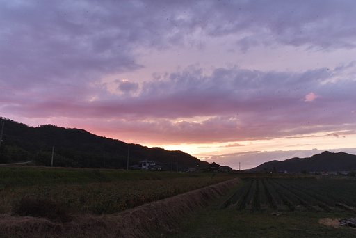 夕焼小焼けで・・