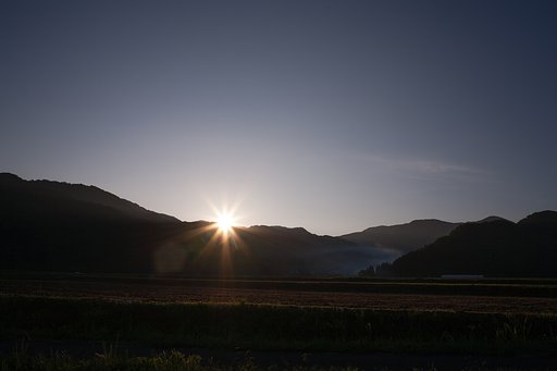 随分光線が強くなりました。