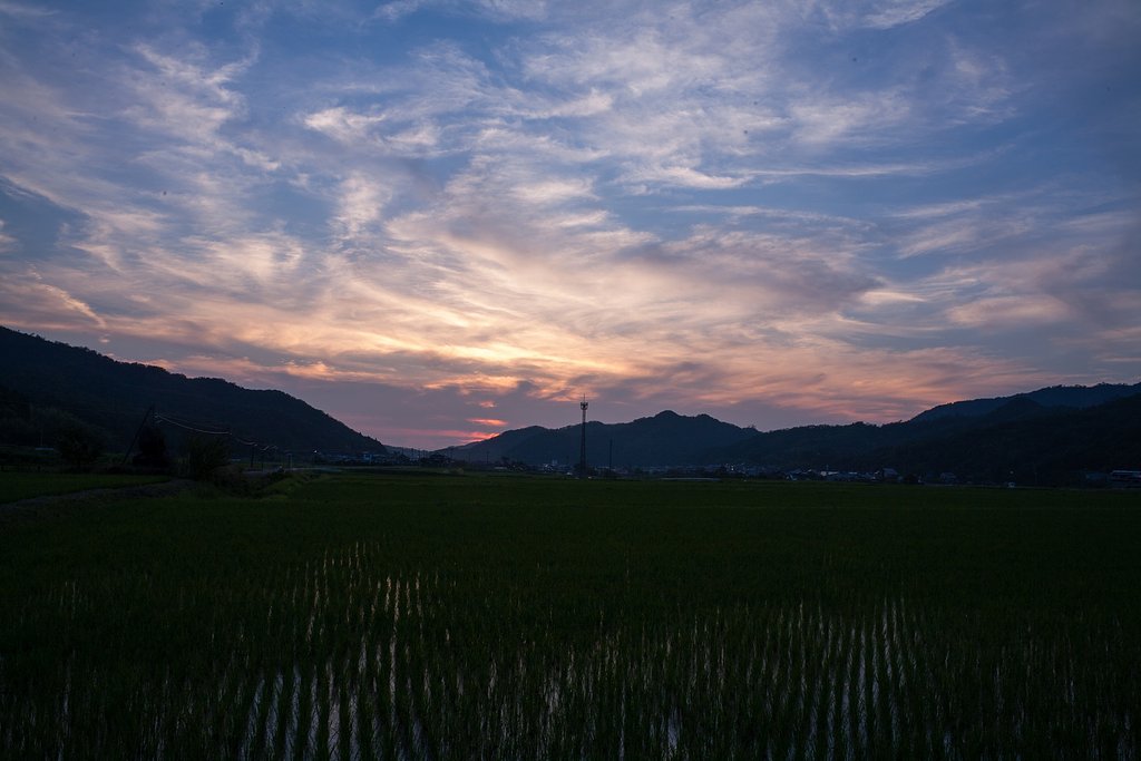 すばらしい夕焼けに。