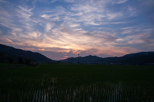 すばらしい夕焼けに。