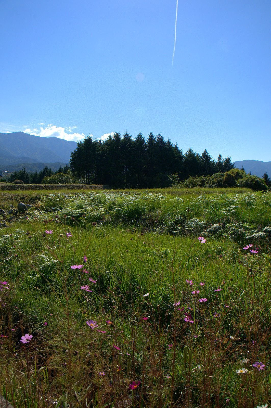恵那山の秋