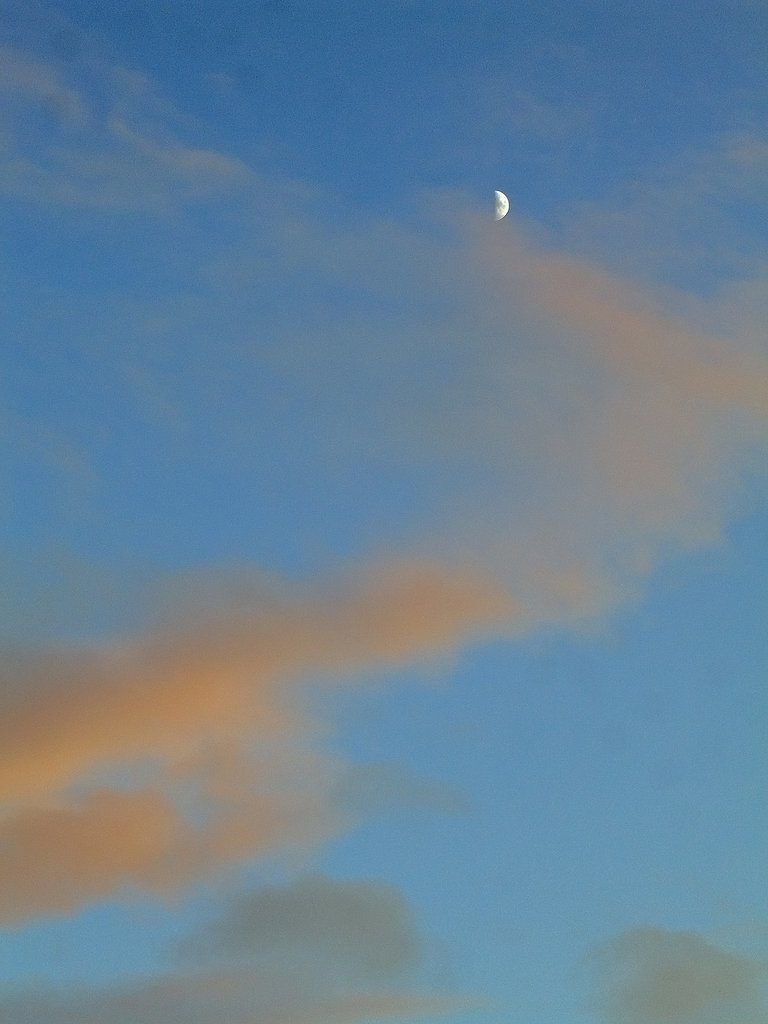ふんわり夕【空】