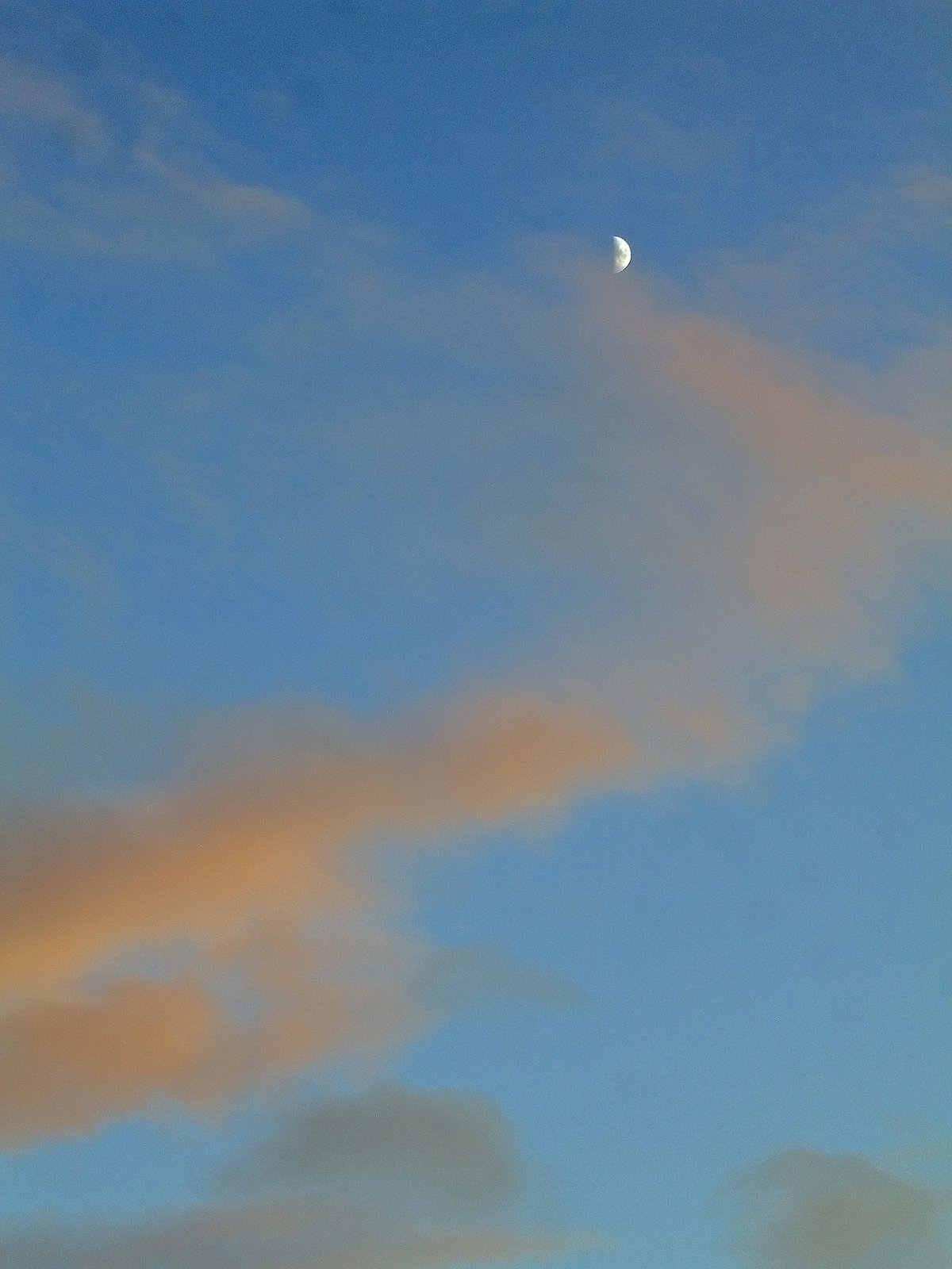 ふんわり夕【空】