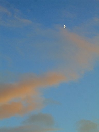 ふんわり夕【空】