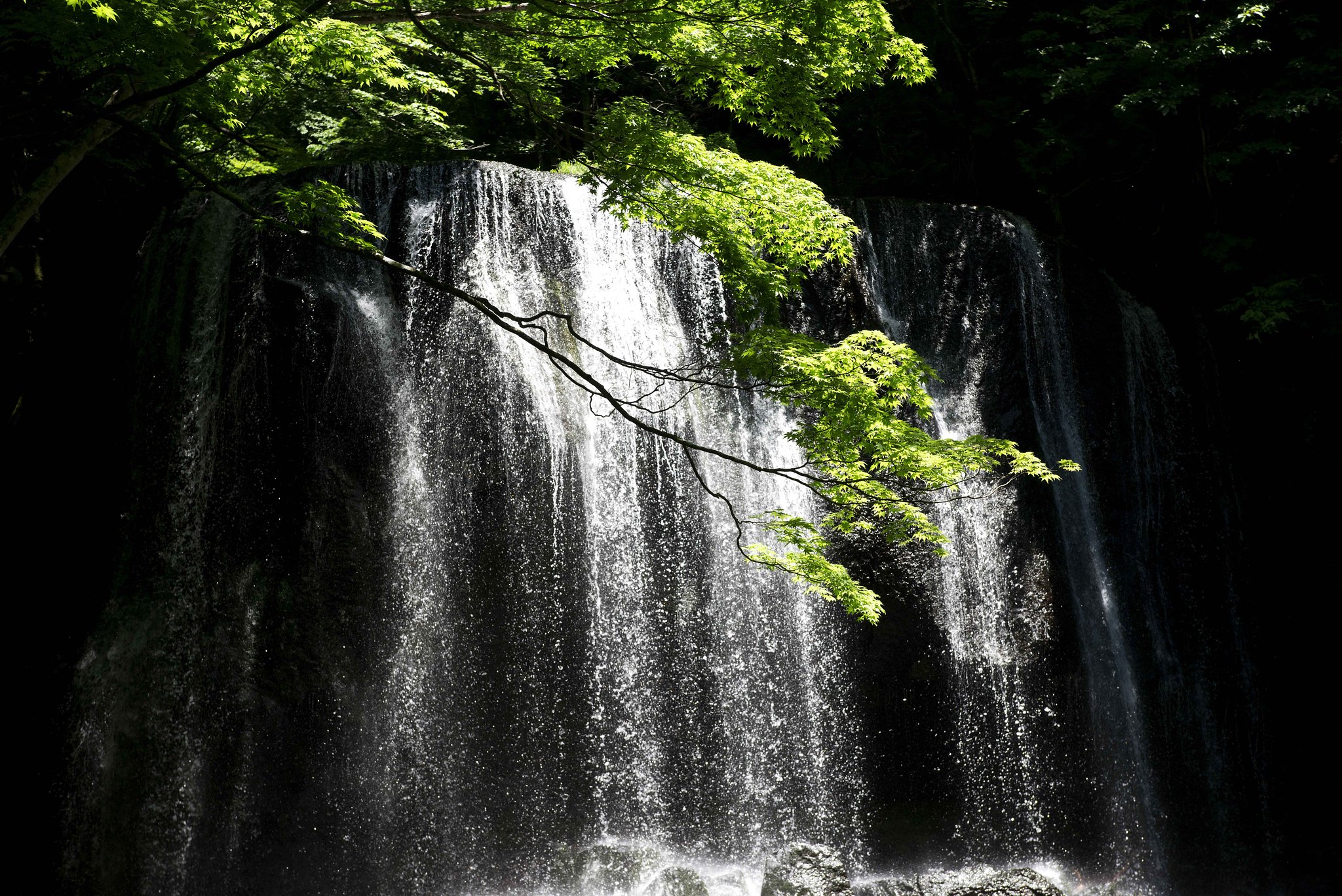 涼を求めて