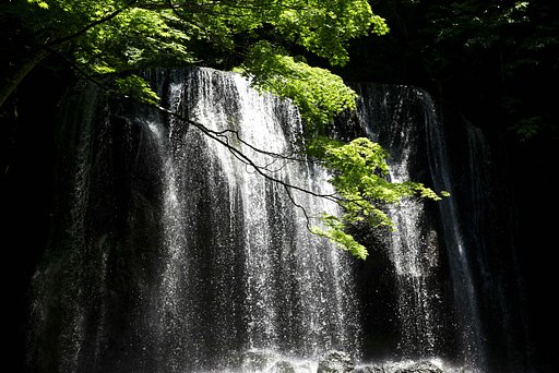 涼を求めて