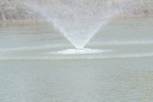 （淡彩）春の噴水