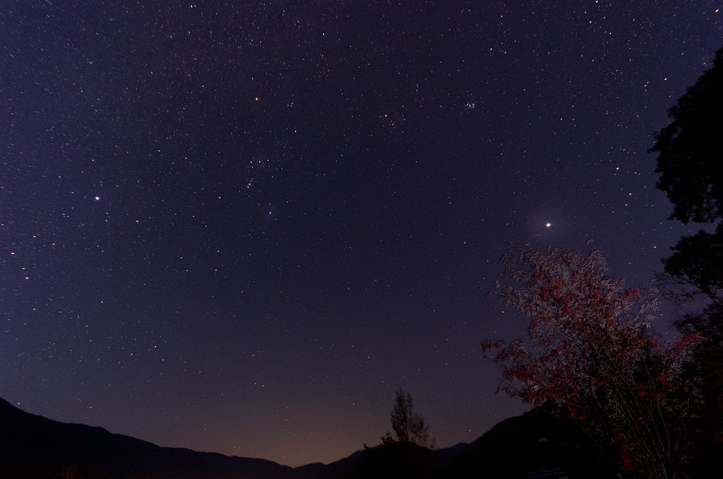 色付くナナカマドと冬の星座