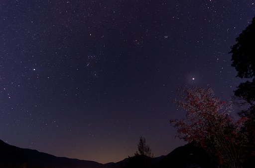 色付くナナカマドと冬の星座