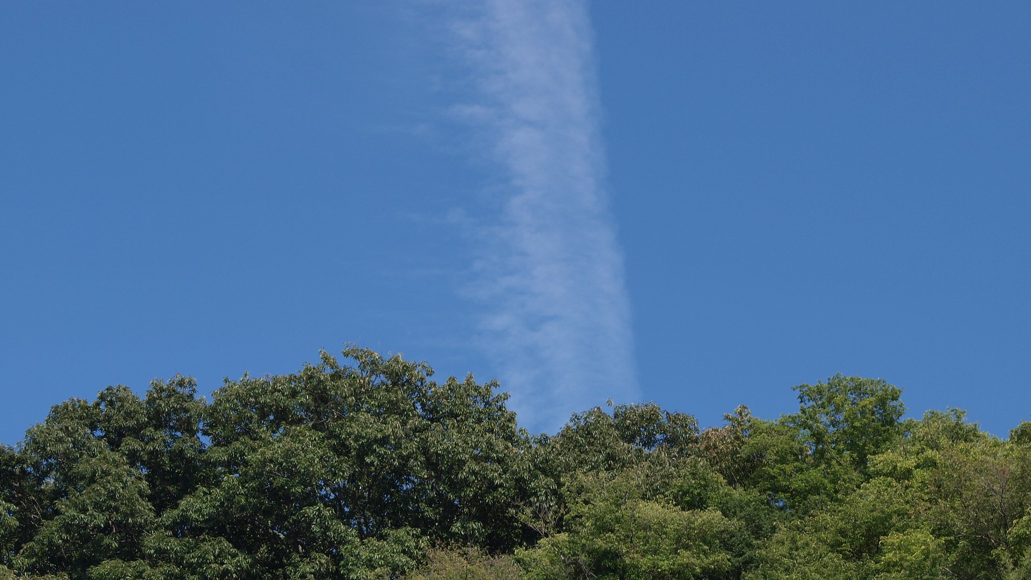 【空】に伸びる