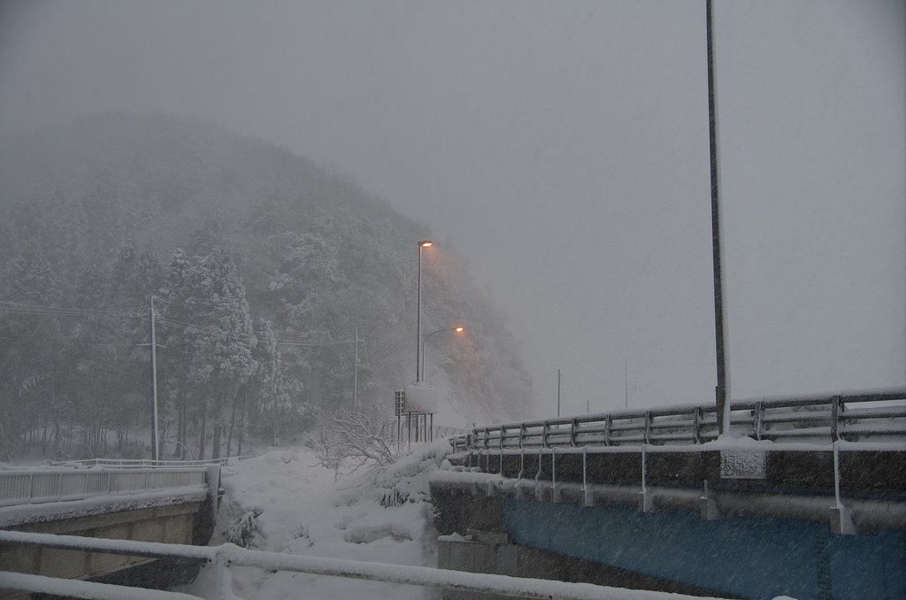 朝のバス停から・・