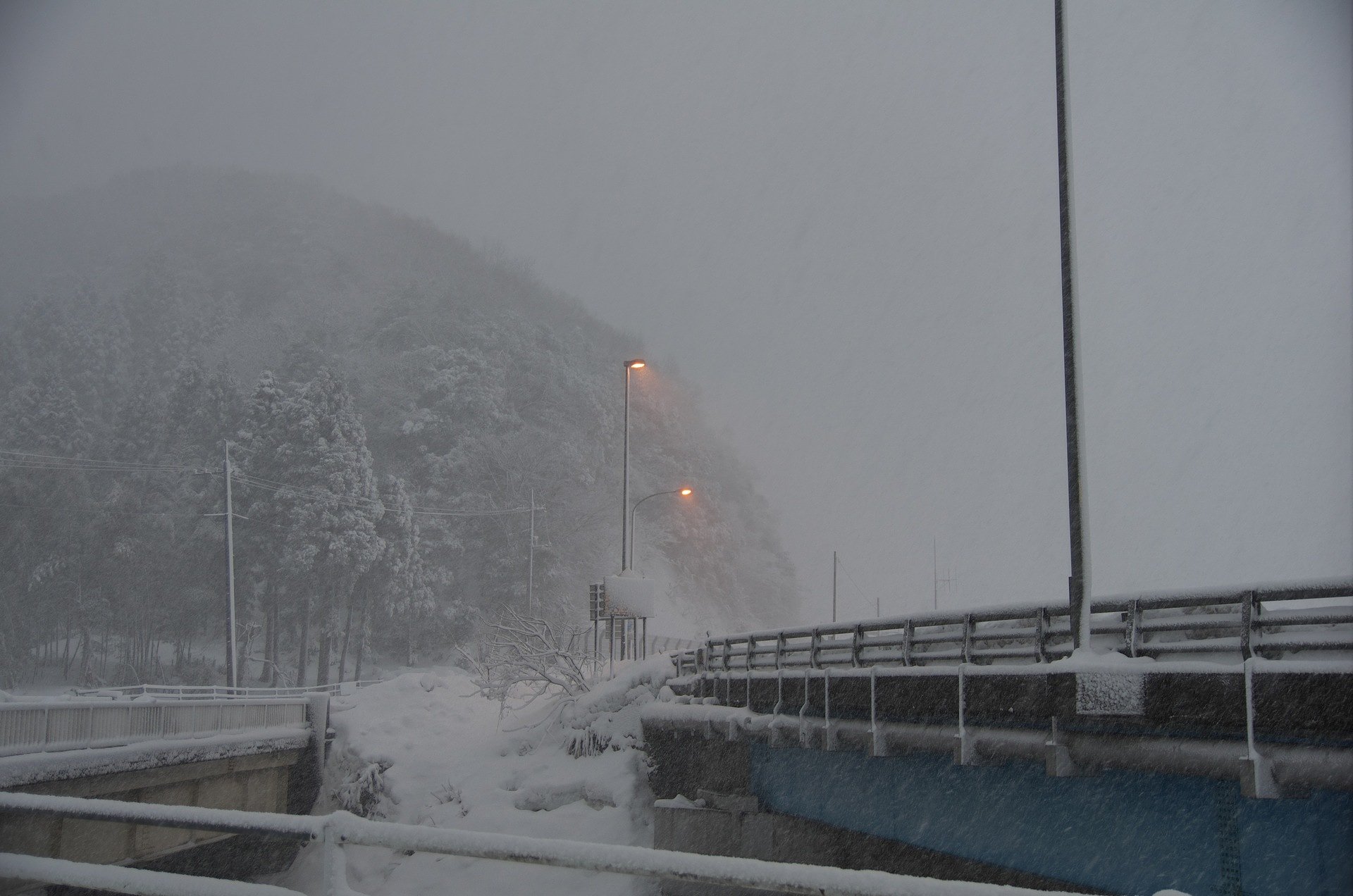 朝のバス停から・・