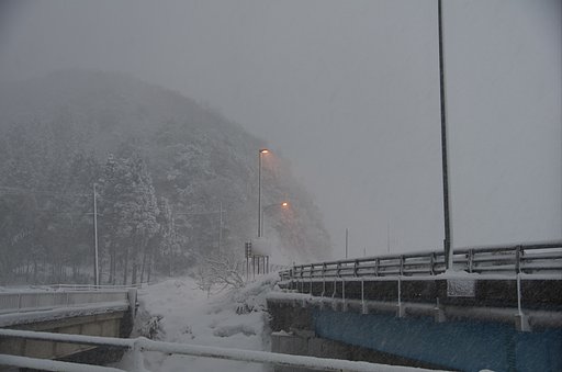 朝のバス停から・・