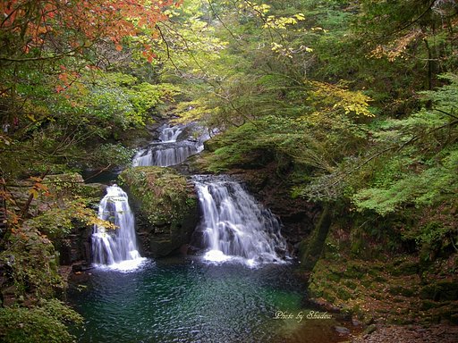 コンデジ頑張ります