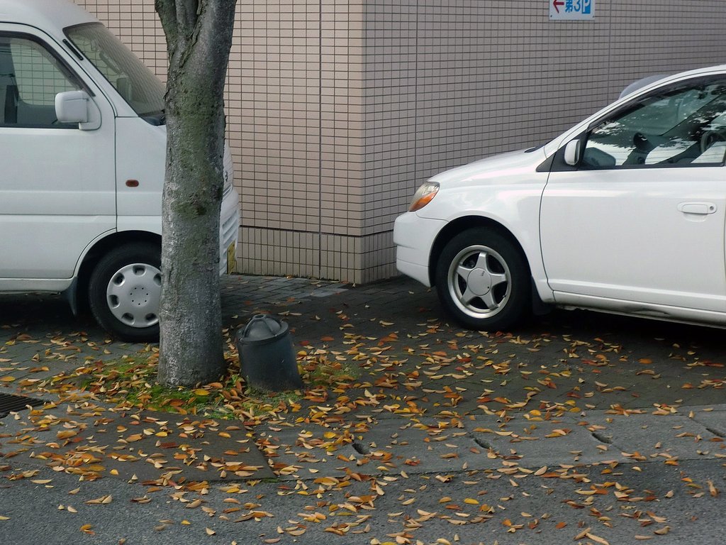 紅葉