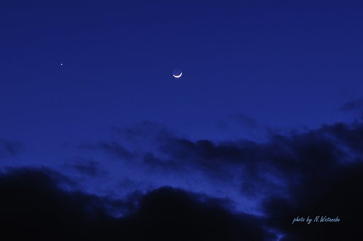 今日の月と金星