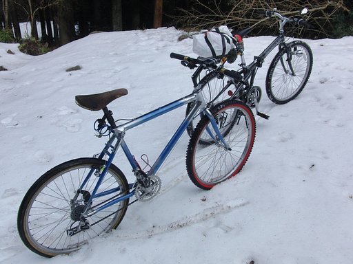 雪中銀輪