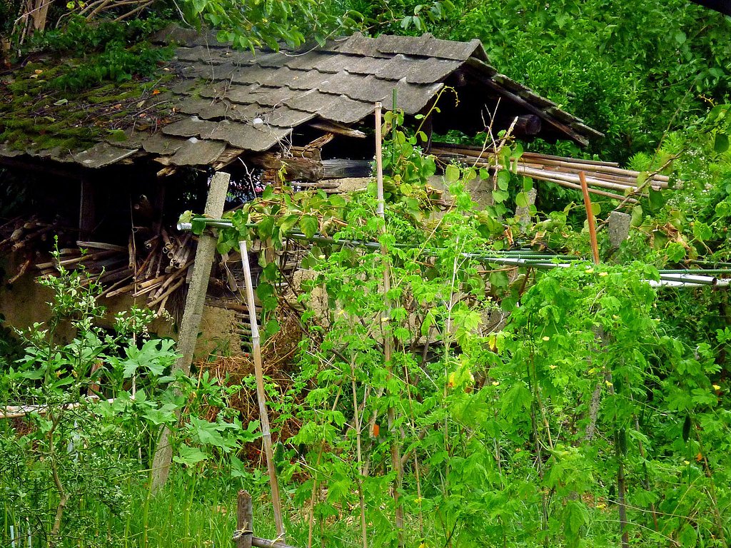 物置小屋
