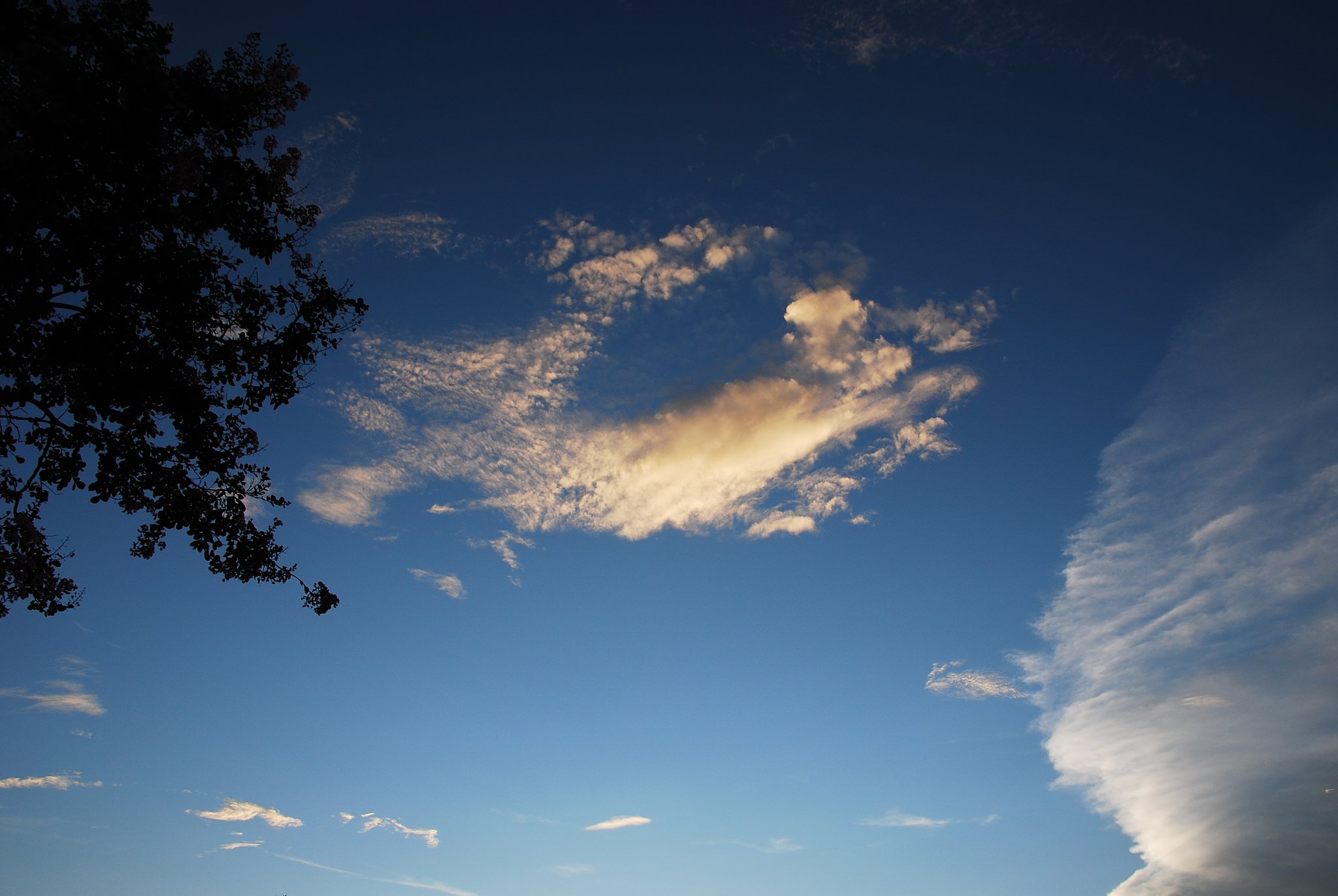 処暑の夕空