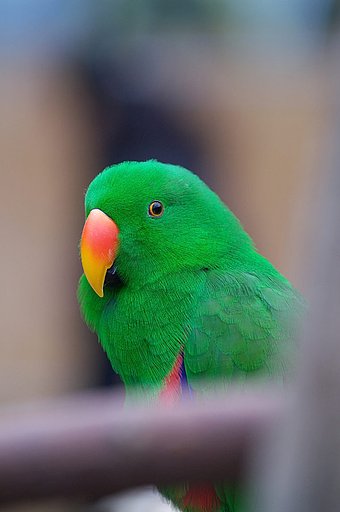 花鳥園・・・２