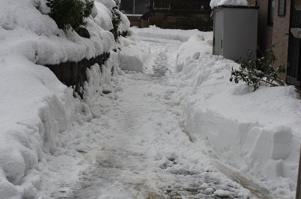 雪雪・・