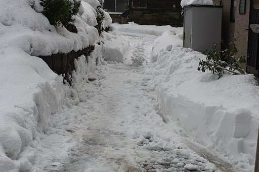 雪雪・・