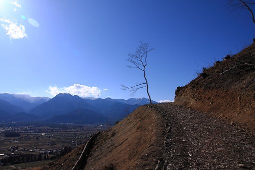 池田町の丘にて