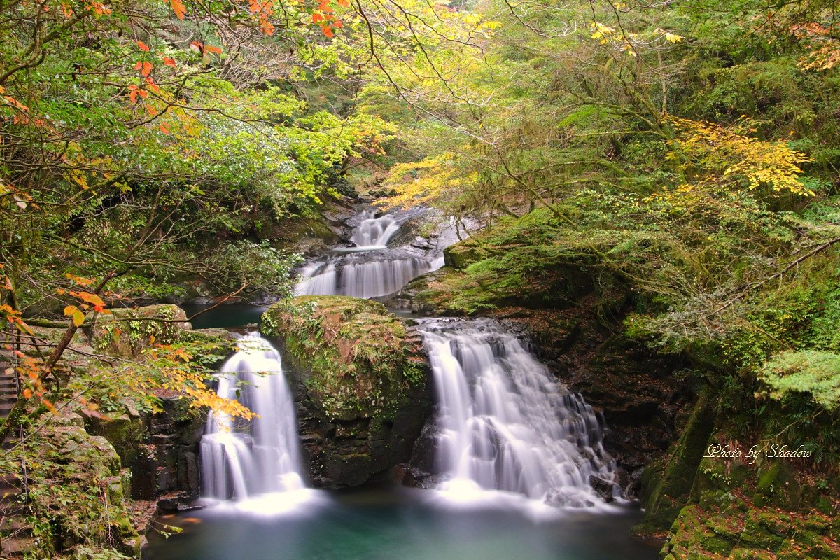 紅葉にはほど遠い