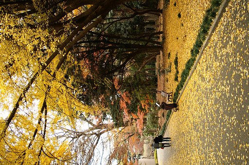 都市公園でのスナップ