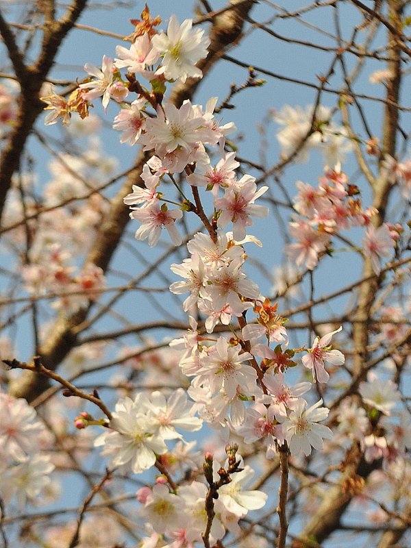 11月６日