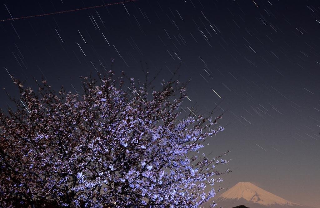 静かな夜の出逢い