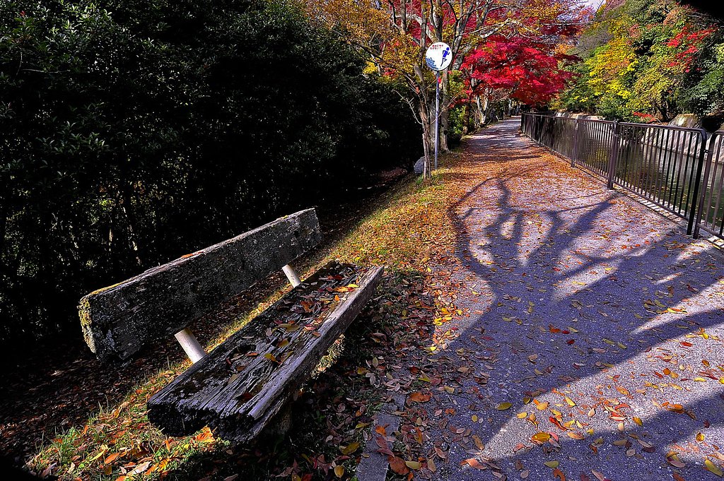 紅葉の怪