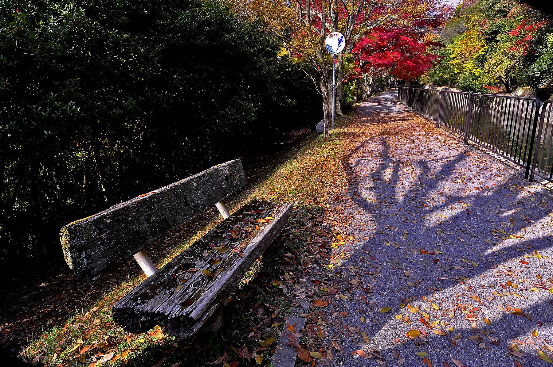紅葉の怪
