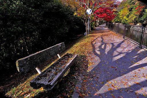 紅葉の怪