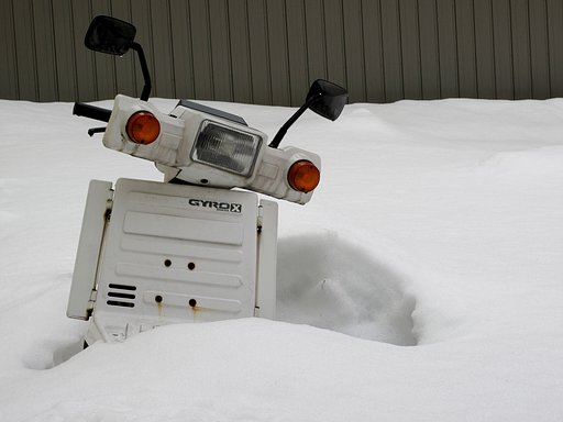 雪に埋もれて