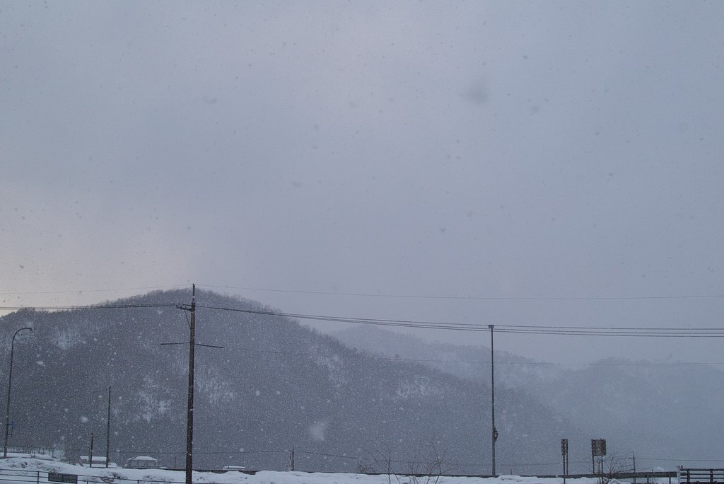 雪はもういらないのに・・