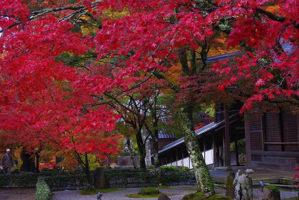 紅葉