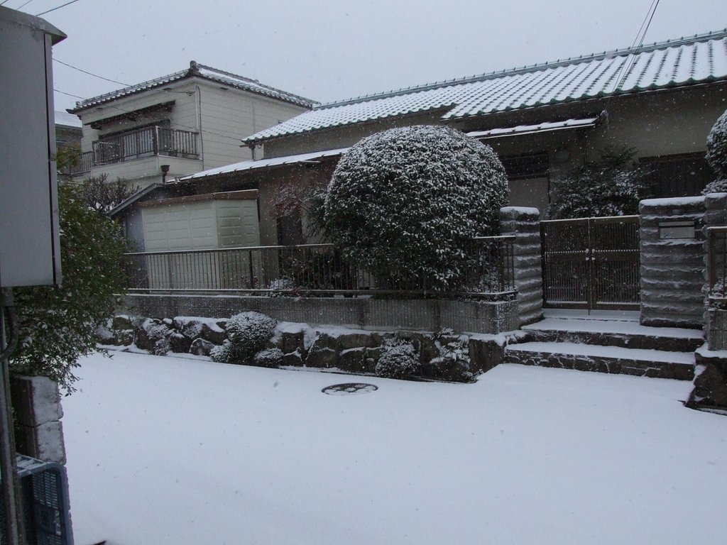 【オールラウンダーパクデジ】FinePix S9000 part4