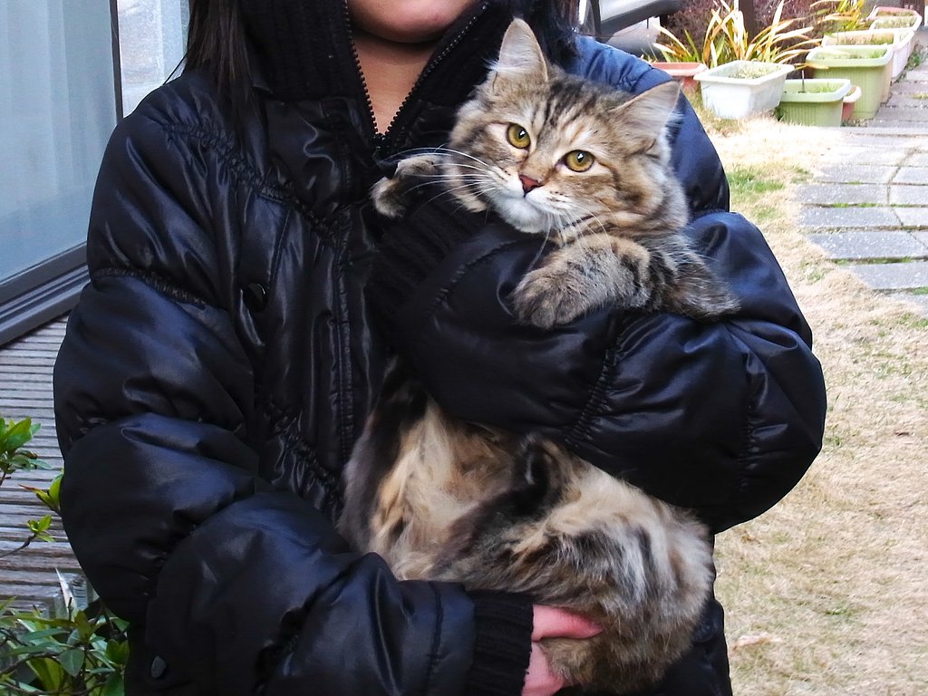 ポコちゃんの２度目の里帰り
