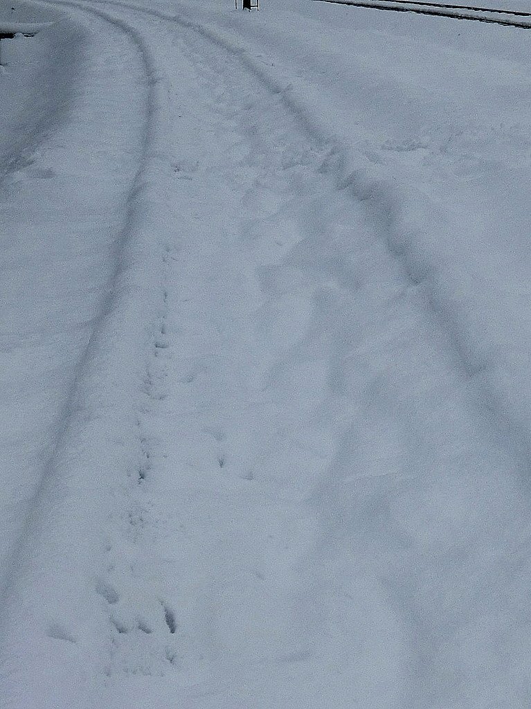 線路