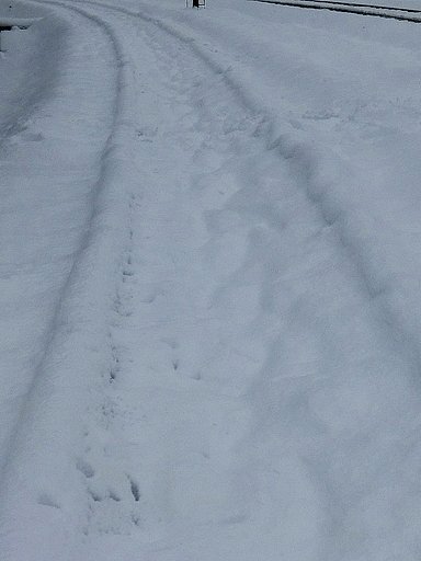 線路