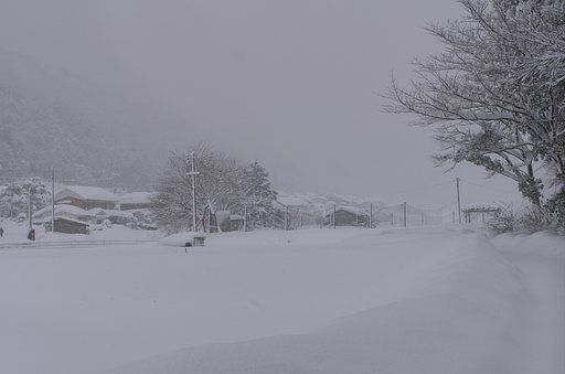 公園の雪!
